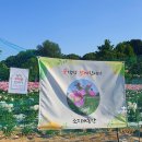 대순농장 이미지