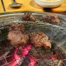 꽃보다소 이미지