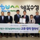 케이에스피뉴스