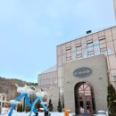 호텔 프로방스 | 전남 담양 광주 인근 가족들과 여행하기 좋은 메타 프로방스 드몽드 호텔 디럭스 룸 후기