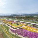 국화정원 이미지