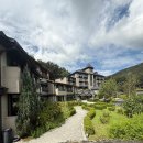 에덴 | 경기도 이천 데이트 장소 추천 세상의 모든 아침 티하우스에덴 솔직 후기(+예약꿀팁)