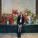 케일라호텔 본관 | 2024. 12. 28 ~ 웨딩 준비 시작 1 (헬렌조, 호텔 베뉴 투어 - 반얀트리, 시그니엘, 웨스틴조선, 포...