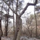 등산로(상) 이미지