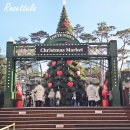 부쉬코너 | 롯데마트 크리스마스 케이크 할인 딸기듬뿍 부쉬드노엘 초코 케익