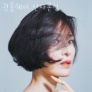 신사동미용실 권홍헤어 신사본점 위치 정보