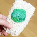천마산표고농장 | 초록별상점 천연수세미 만들기KIT •표고버섯 요리하기