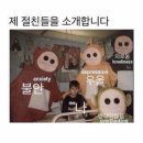 논현포대근린공원2 이미지