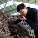 박종관농장 이미지