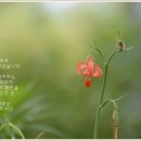 사랑방농원 이미지