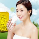 예렉투스