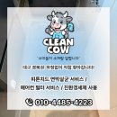 클린카우 이미지