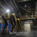 현대오토랜드 이미지