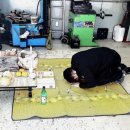 오토오아시스 세교점 이미지