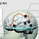 용유중학교 이미지