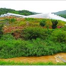 명월3리 행복마을 이미지