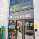 춘천효자지역아동센터 | 해피린 다함께 돌봄센터 | 초등학생 독서원예수업 율마 트리 만들기 활동 보조교사 후기