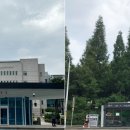 시청앞버스승강장 이미지