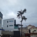 위드베베 | 경주 가성비 키즈 풀빌라 위드베베 독채 후기