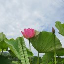 덕고개농장 이미지