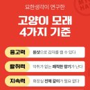 [고양이모래] 카사바모래도 단독으로! 묘한생각 슈퍼카사바 모래를 써봤어요!