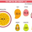 지구온난화가 진행됨에 따라 미래 새로운 소득 작물로 아열대작물이 뜨고 있다. 뽁뽁이(에어캡)비닐하우스 한국농업기술(주) 1688-8013 이미지