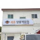 세종양봉백화점 이미지