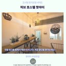 핫야이 숙소 추천 허브 호스텔 후기 꿀팁