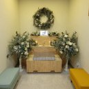 아리아펫 이미지