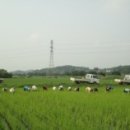 "미래는 소농 중심의 농업 사회" - 홍성 풀무학교 전공부 장길섭 선생 인터뷰 이미지