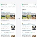 사이버구조대 이미지