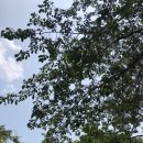 군평초등학교 이미지