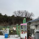 겨울 <b>왕국</b> 포피 ????️❄️