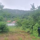 노류마을 이미지