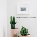 에든플라워