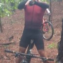 칠보산숲길 이미지