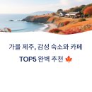 한남리 | 가을 제주 즐기기 감성 숙소와 감성카페 TOP5 완벽추천, 분위기 미쳤다