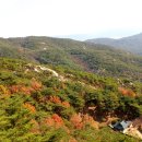 남산 이미지