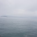거제갈치도 이미지