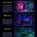 동굴모텔 이미지