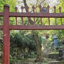 택배기사의 건강이 걱정된다 이미지