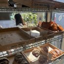 두원현대서비스 | 전포역 맛집 카페 어퍼이스트 베이커리 후기