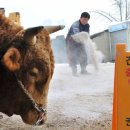 비호축산 이미지