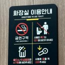 가평 글램핑 춘천 글램핑장 [망고땡글램핑] 내돈내산 후기