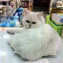 폴리파크지산점 이미지