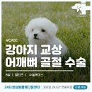 옥천동물병원 이미지