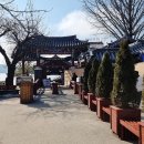짚라인 타는 산골마을 | 남이섬 영업시간 입장권 가격 할인 짚라인 배시간 놀거리 볼거리 후기