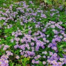 노지하우스 이미지