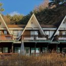 오이코스테이 이미지