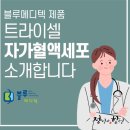 블루메디텍 이미지